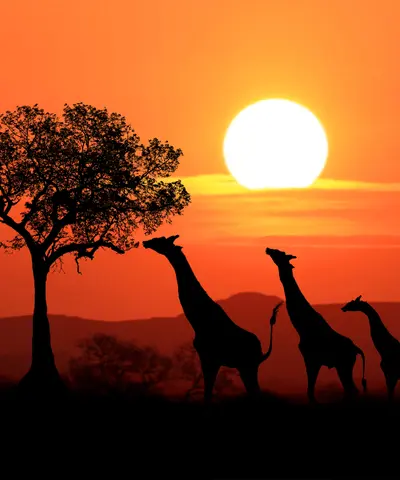 Zimbabwe